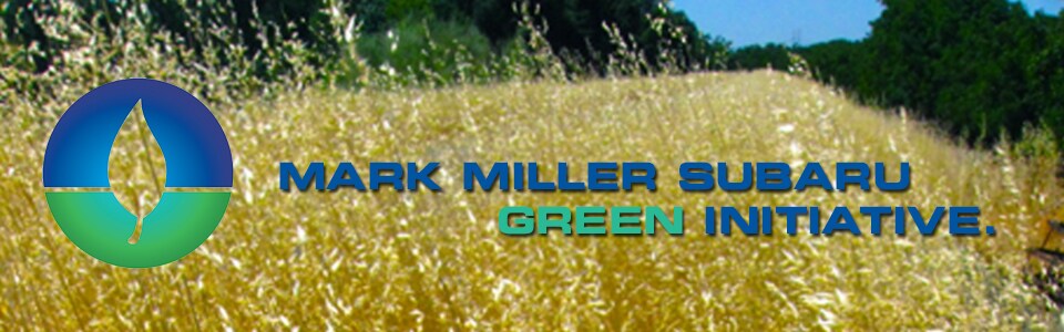 gogreenbanner.jpg