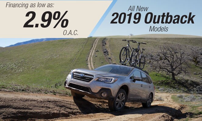 New-Finance-Specials---Outback.jpg
