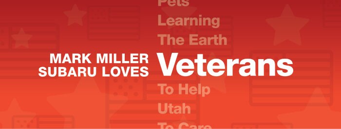 vets-web.jpg