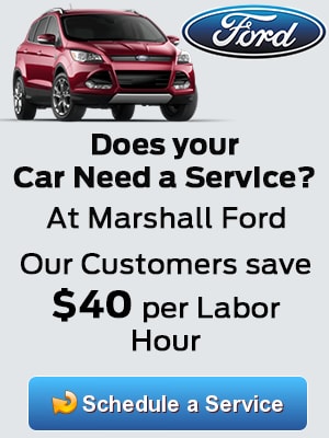 Service Button1.png