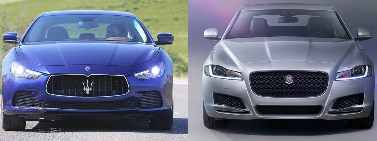 ghibli vs xf.jpg