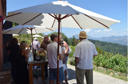 Barnett Vineyard 6