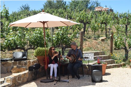 Barnett Vineyard 3