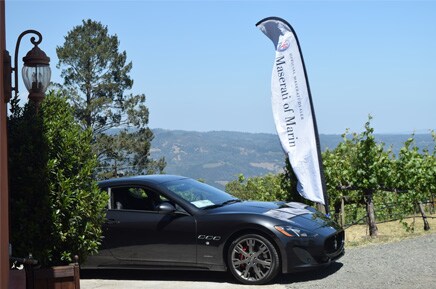Barnett Vineyard 5