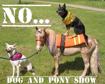 dog and pony.jpg