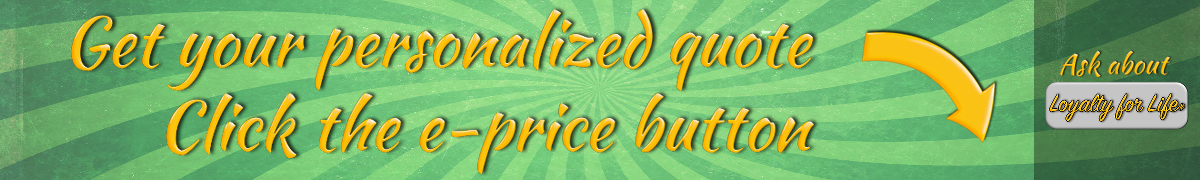 Green banner.png