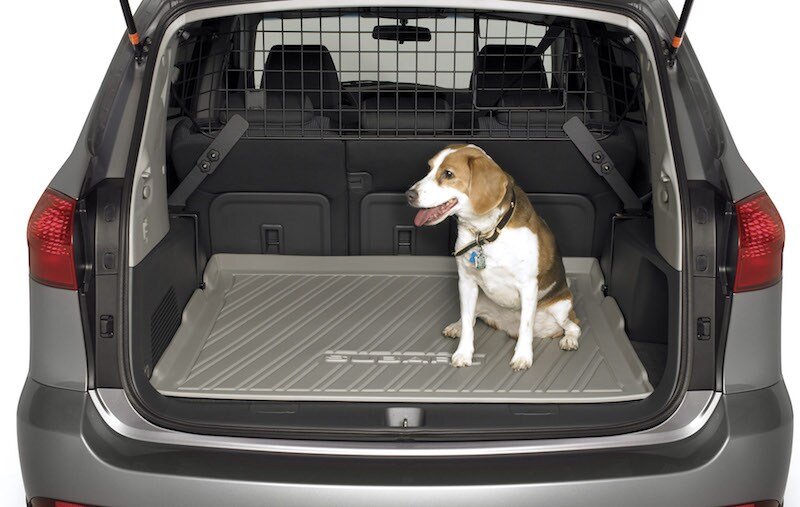 dog-friendly Subaru accessories available near Winter Park dog-friendly Subaru accessories available near Winter Park