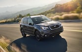 2018 Subaru Forester Black Edition soon to be available near Deltona 2018 Subaru Forester Black Edition soon to be available near Deltona