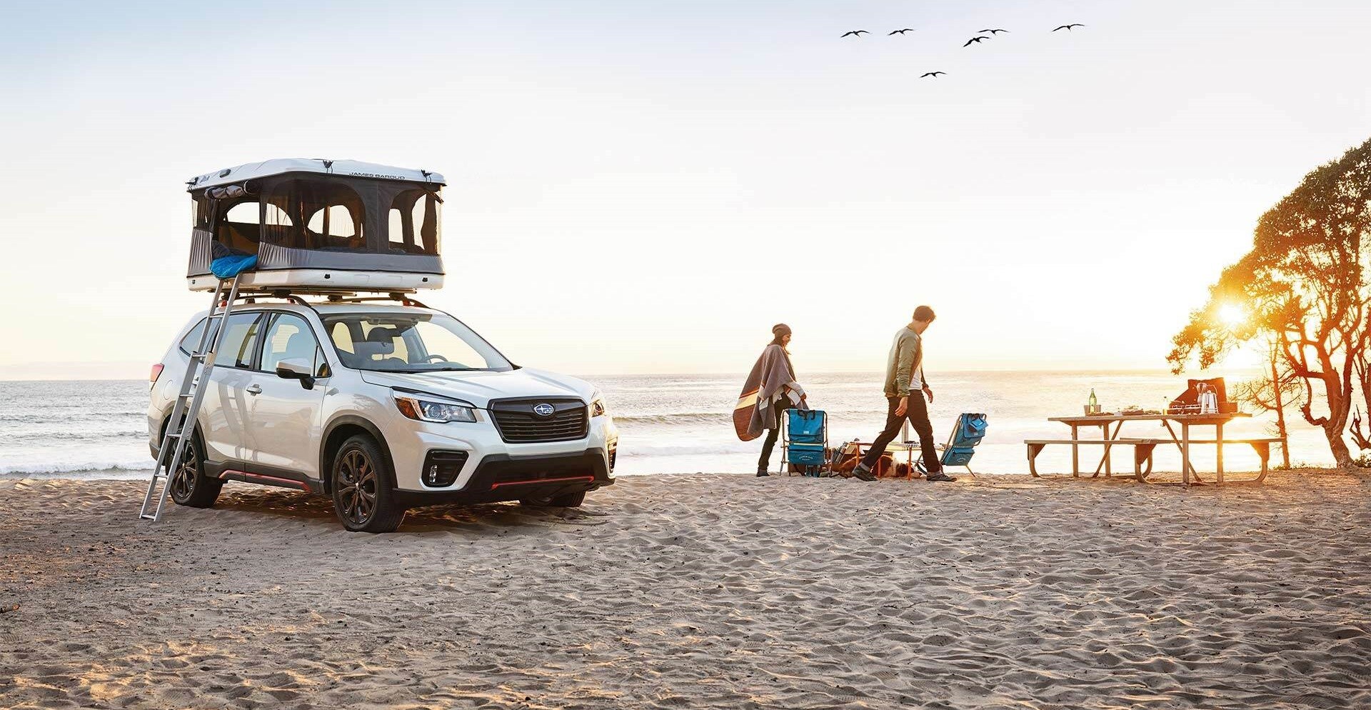 Subaru Forester News and Info