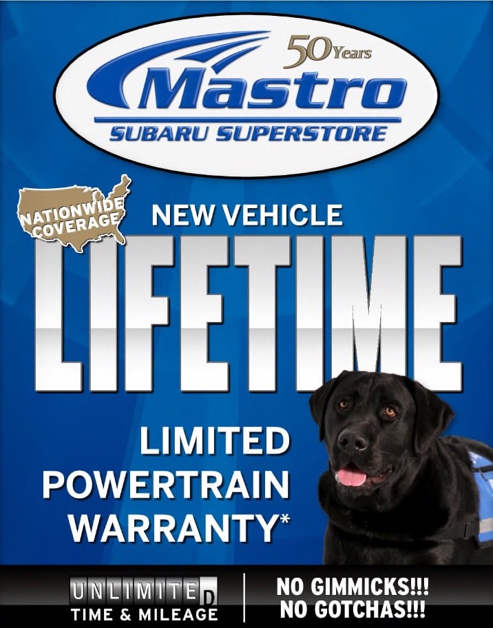 lifetime poster.jpg