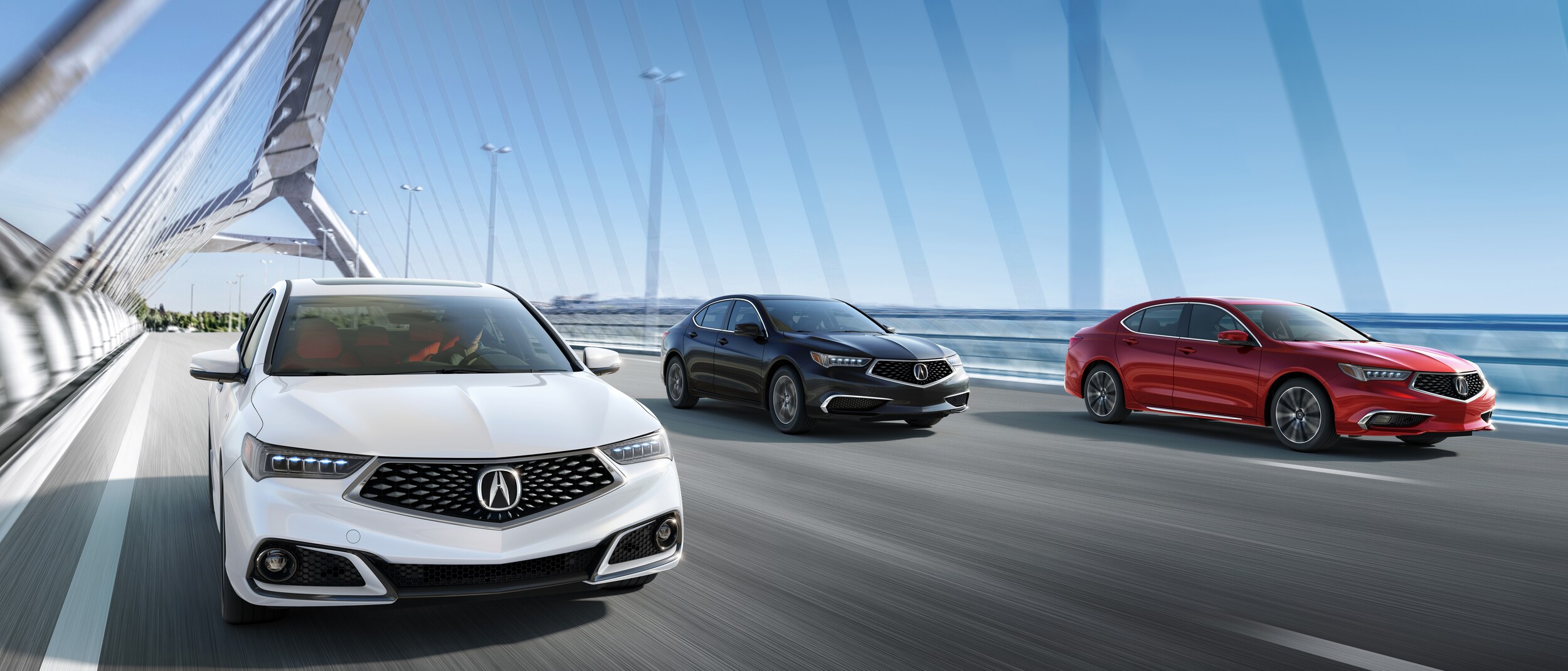 2019 Acura TLX.jpg