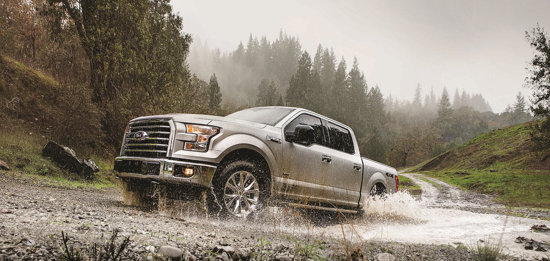 New Ford F-150 Silver in Paoli, PA Outdoors