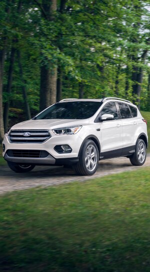 2019 Ford Escape 2019 Ford Escape