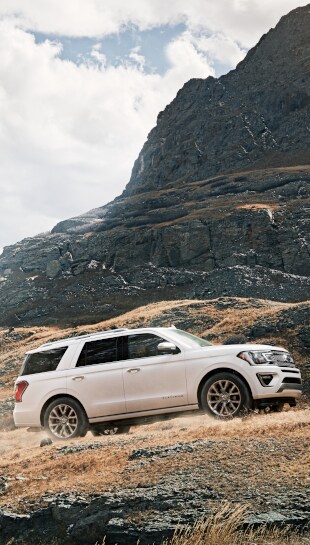 New Ford Expedition New Ford Expedition