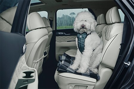 Hyundai Palisade Space.png