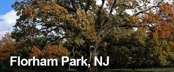 Mazda Dealership Near Florham Park NJ