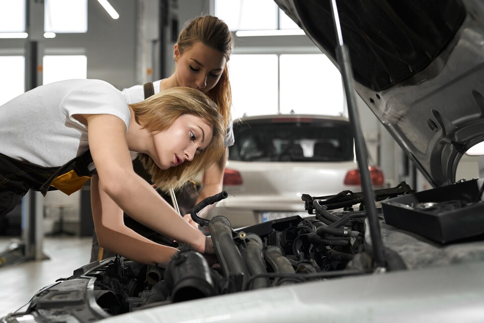 Air Filter Sales & Service Sarasota, FL