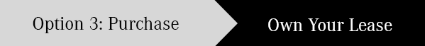opt 3.png