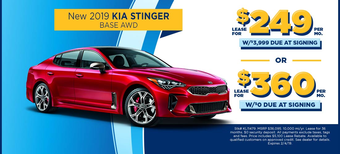 stinger.jpg