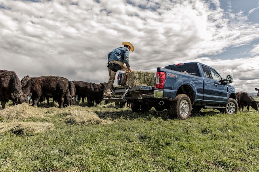 2019 Ford F-350 Payload 2019 Ford F-350 Payload