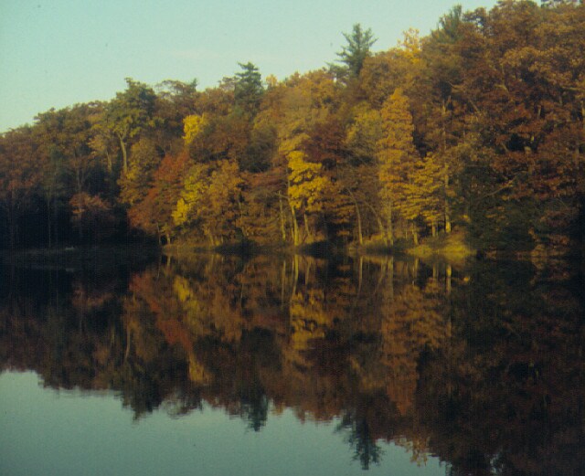 bow.jpg ford dealer bowmansdale pa