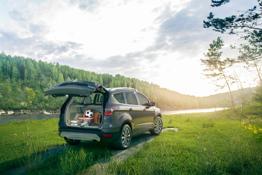 2019 Ford Escape 2019 Ford Escape