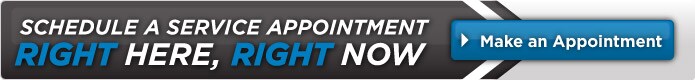 Appointment Button.jpg