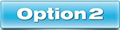 Option Buttons 2.jpg