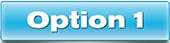 Option Buttons 1.jpg