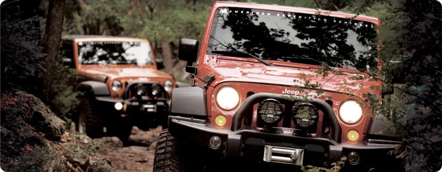 aev authorized dealer photo.jpg