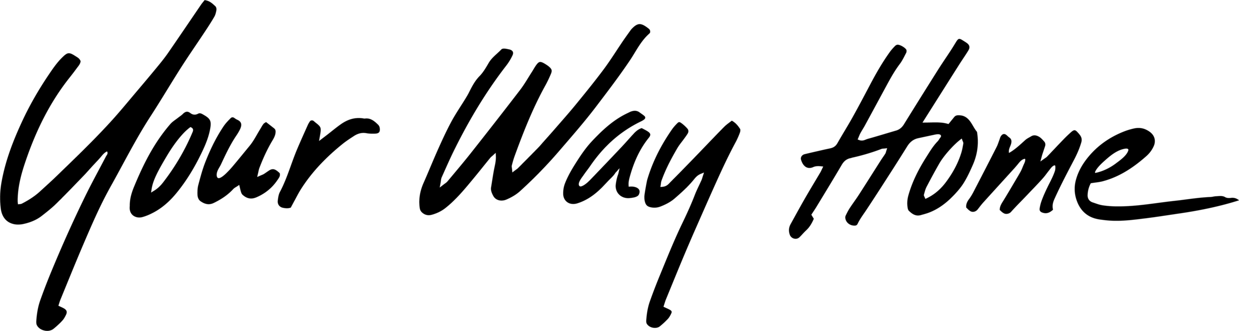 YourWayHomeblack (1).png