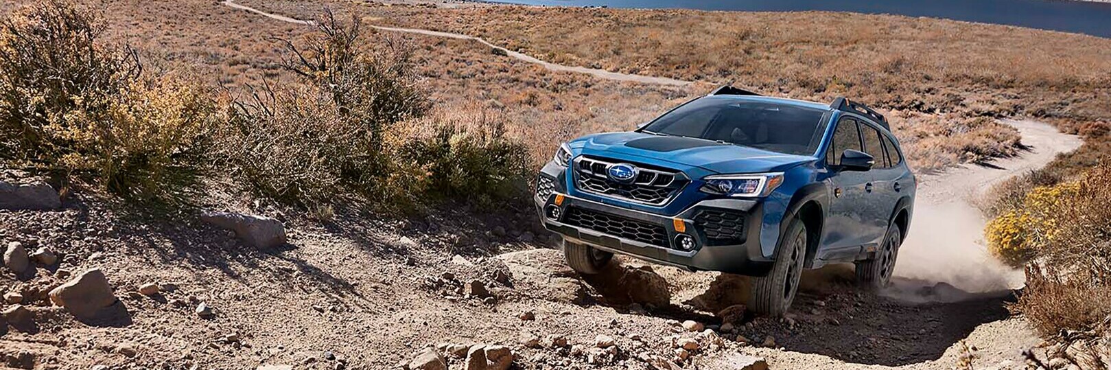 Subaru Outback Wilderness