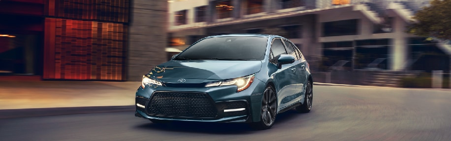 COROLLA.jpg