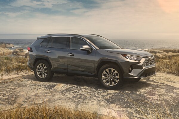 2019-Toyota-RAV4-Limited-SUV-L04.jpg Toyota RAV4 in the wilderness