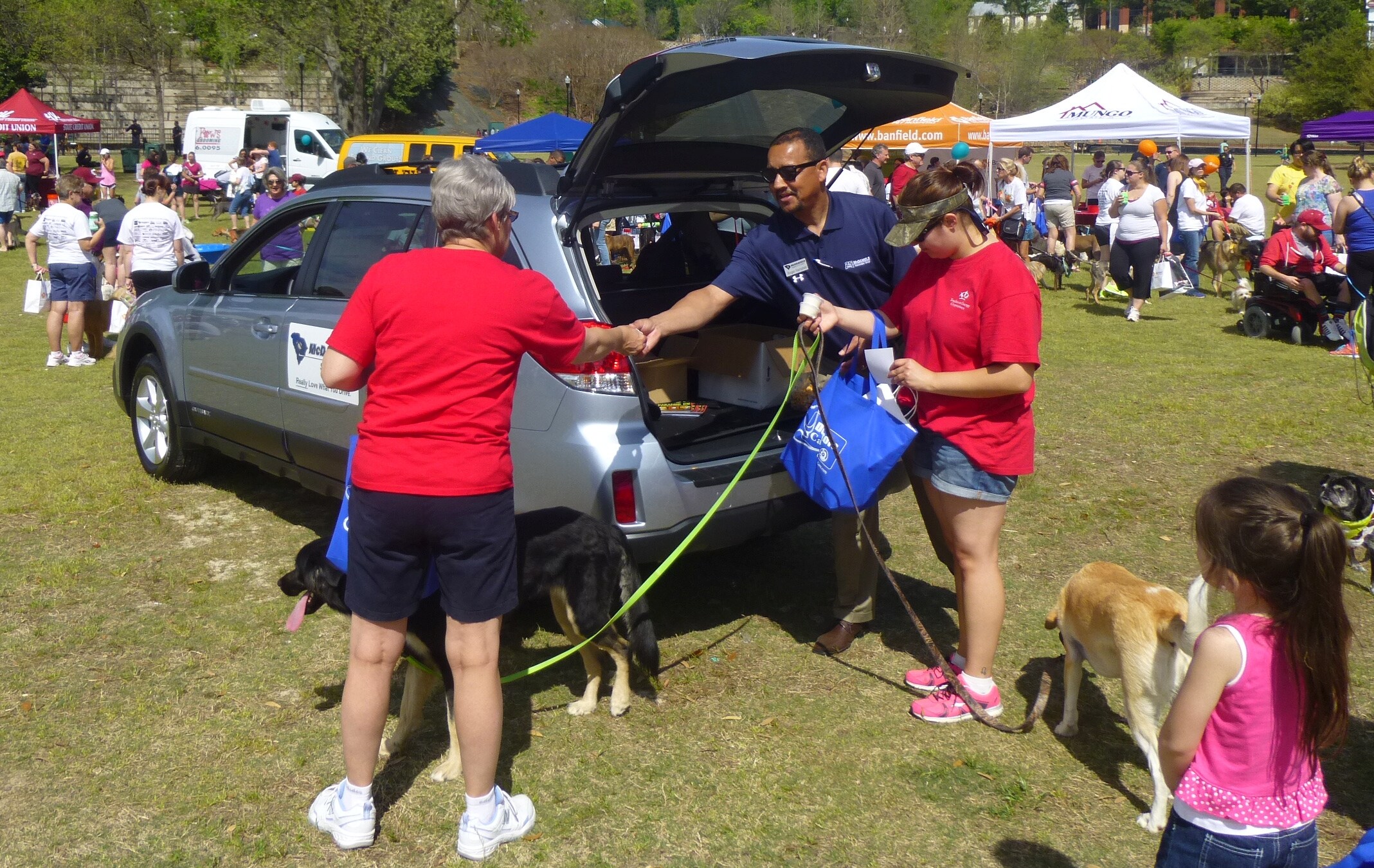 barktothepark
