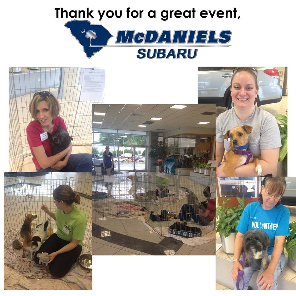 local adoptions