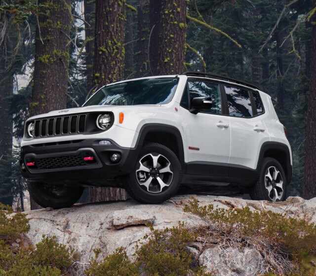 Jeep Renegade Trims