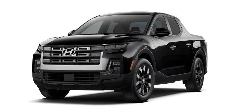Hyundai Santa Cruz Trim