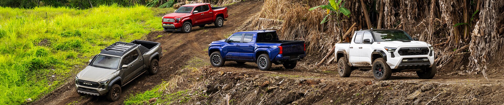 4 Toyota Tacoma Trucks on off-road terrain: Trailhunter, Limited, TRD Sport, & TRD Pro