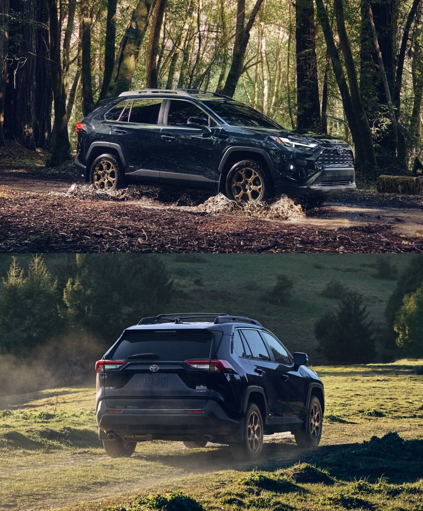 What Year Is the Most Reliable Toyota RAV4?