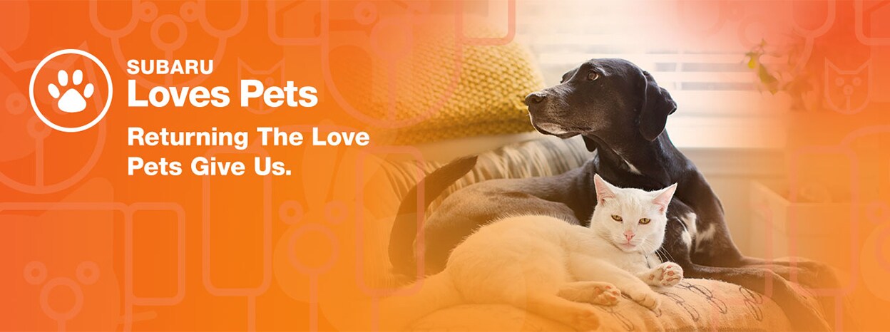 pets loves.jpg