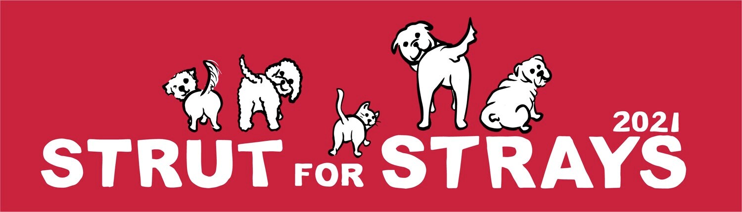 strut for strays 2021.jpg
