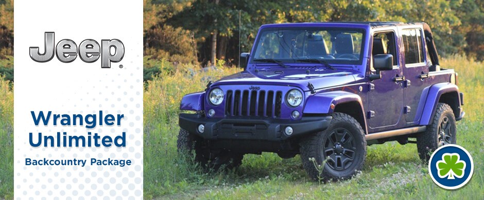 Purple Jeep Wrangler Back Country