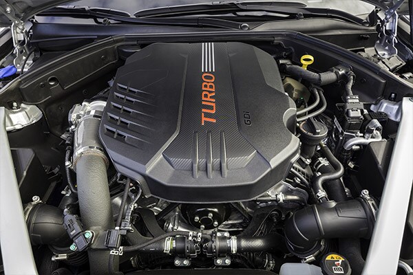 Genesis Ownership Experience Complementary Maintenance