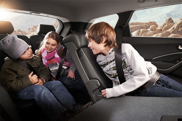 2017 santa fe trunk cargo space