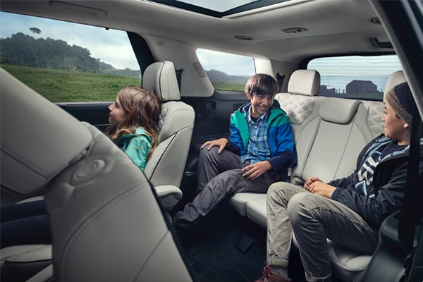 2020 Hyundai Palisade back interior seats