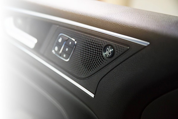 Bang and Olufsen 12 speaker system