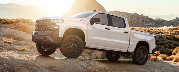Custom Trailboss