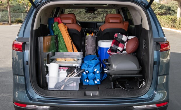 Carnival Taillight storage