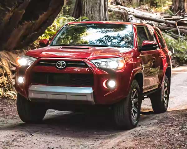 toyota 4Runner driving through forest